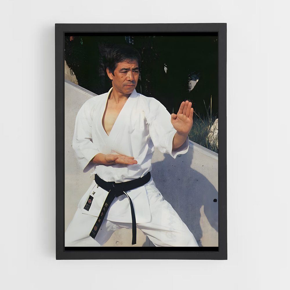 Poster Esprit de Karaté (vue 2)